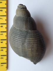 &copy; Thijs de Boer